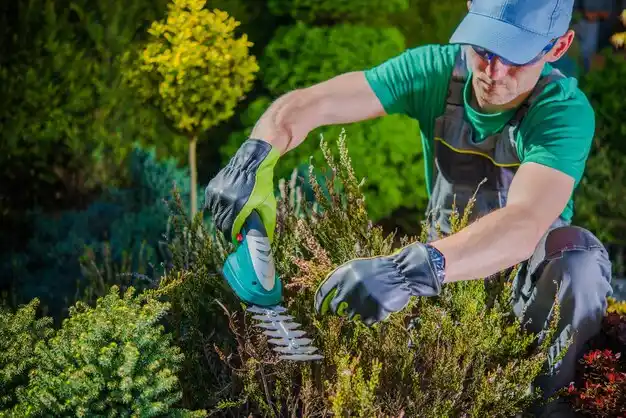 landscaping services Traverse City
